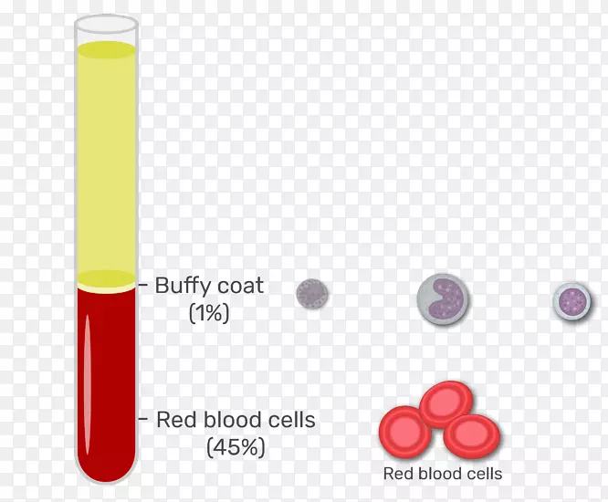 布菲大衣红细胞血浆白血球