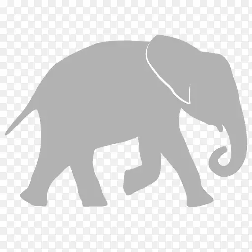 印度象非洲象野生动物大象