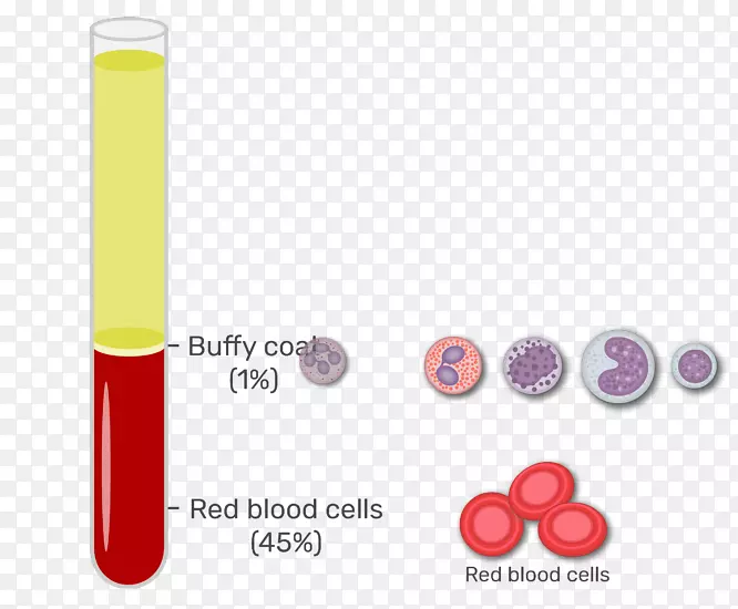 布菲大衣红细胞血浆白血球