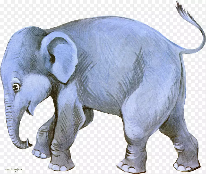 印度象非洲象狗剪贴画-大象