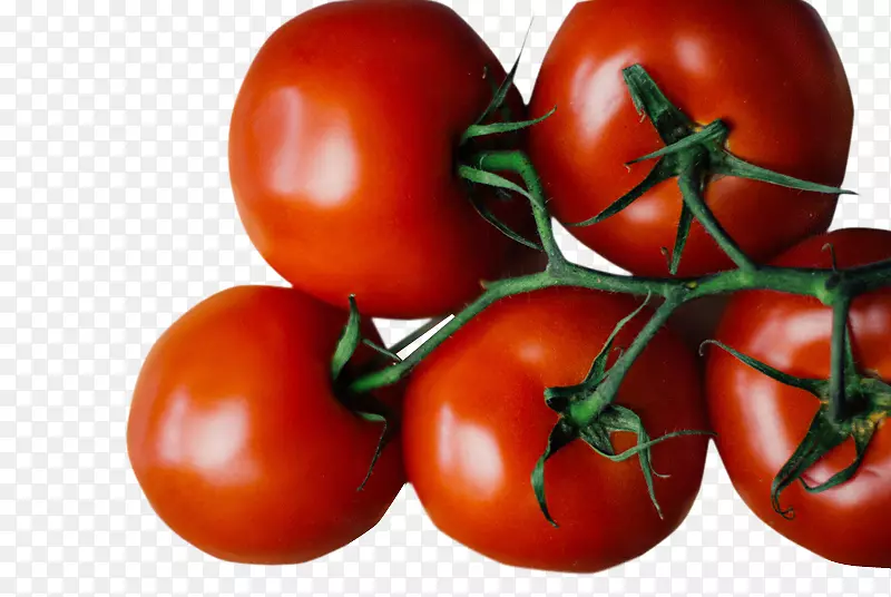番茄汤番茄汁番茄酱蔬菜风味蔬菜