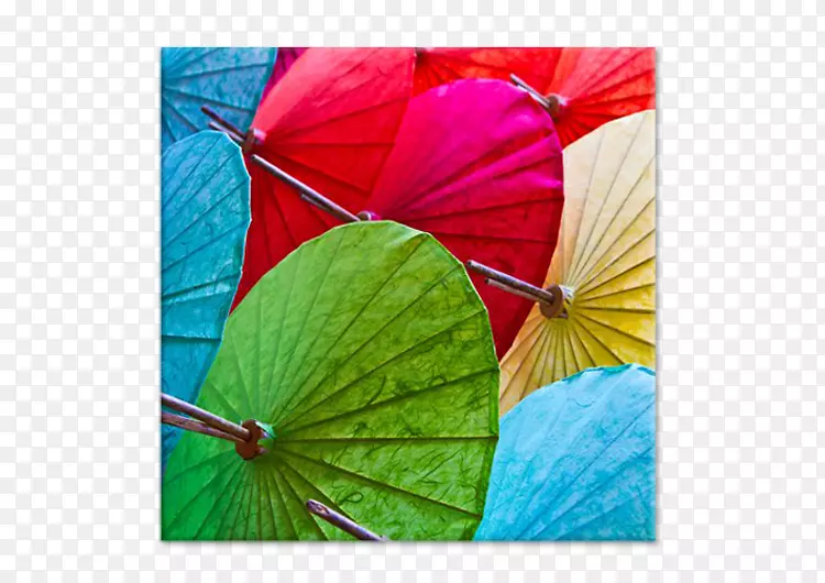 清迈花展雨伞-免费摄影-雨伞