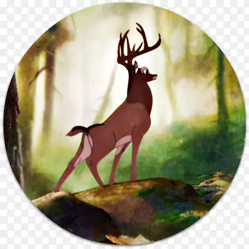 森林的伟大王子斑比，生活在森林中的朋友猫头鹰YouTube-班比