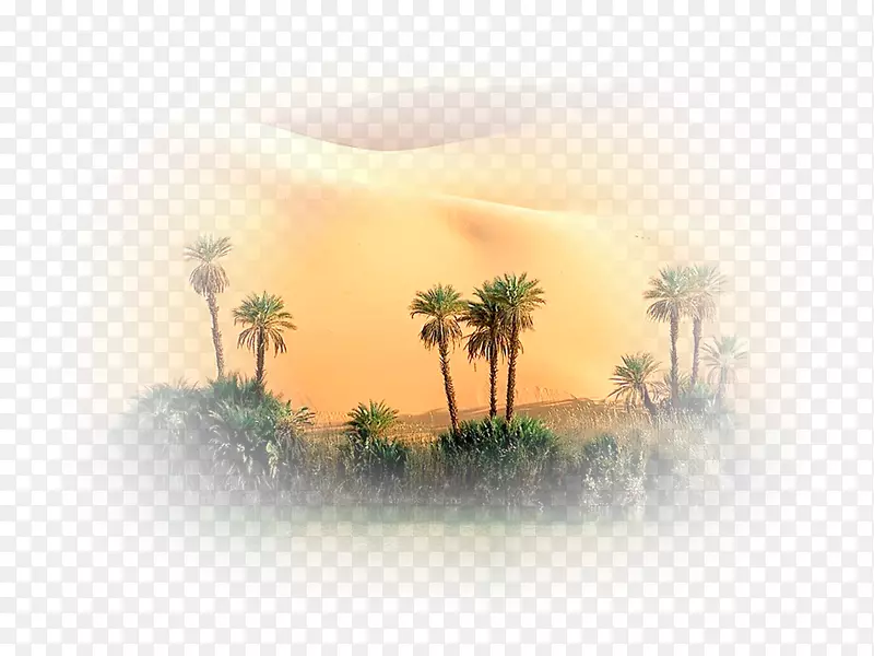 撒哈拉沙漠丢失的宝藏-金属探测器-Acacus山绿洲-沙漠
