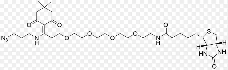 烯胺亚胺芳基核黄素合成酶