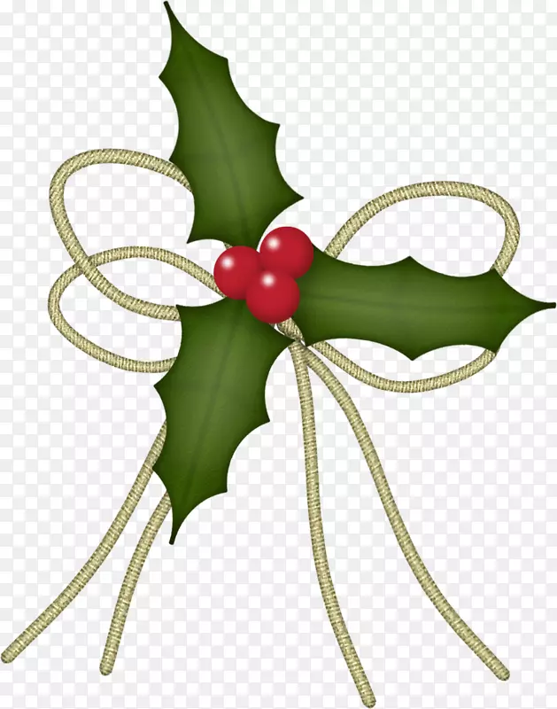 普通冬青机刺绣圣诞植物圣诞装饰品甜豌豆