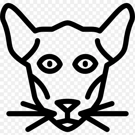 胡须猫狗鼻子夹艺术猫