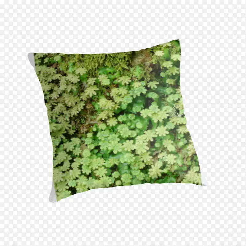 投掷枕头垫伪装-绿色枕头