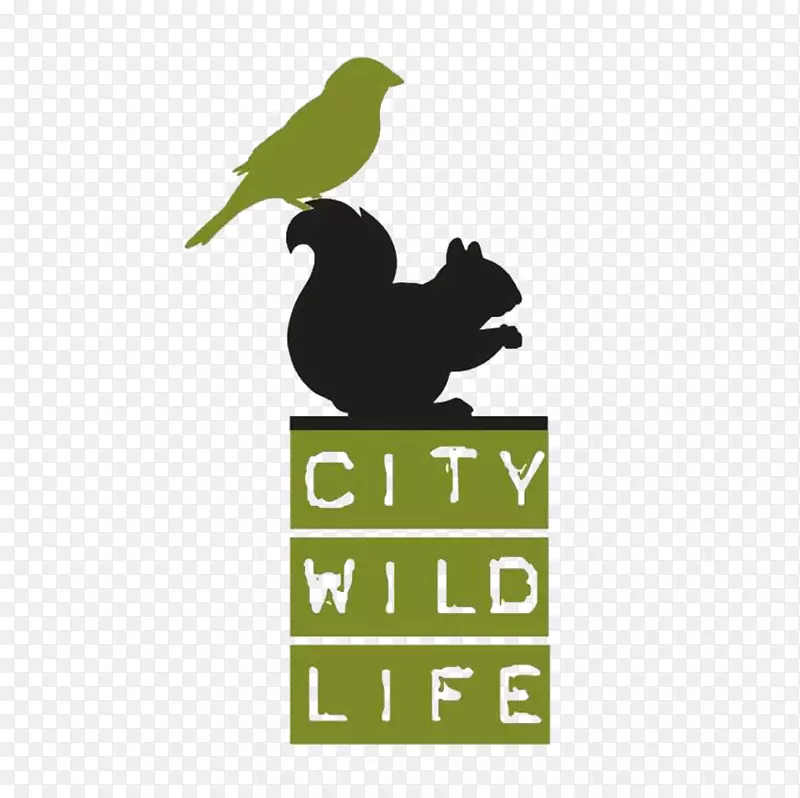 城市野生动物协会第11街桥公园城市野生动物鸟类