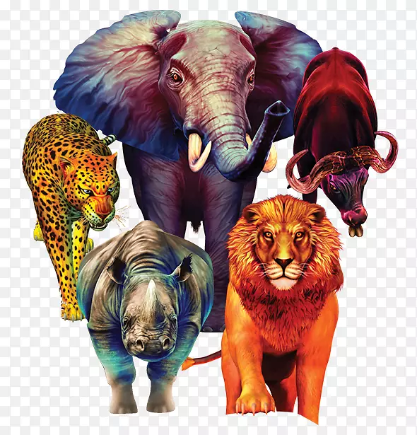 印度象非洲象野生动物-印度