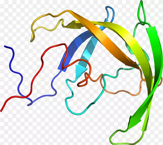 线点生物剪贴画线