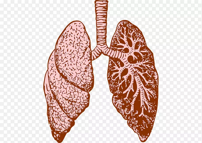 肺囊性纤维化特发性肺纤维化治疗