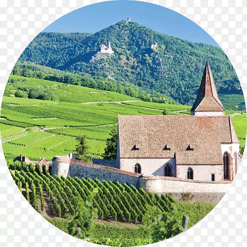 Vosges Alsace葡萄酒Lorraine Colmar-葡萄酒
