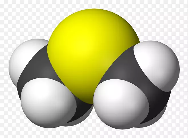 二甲基硫二甲基亚砜甲基化学
