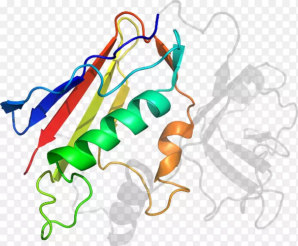 线点生物剪贴画线