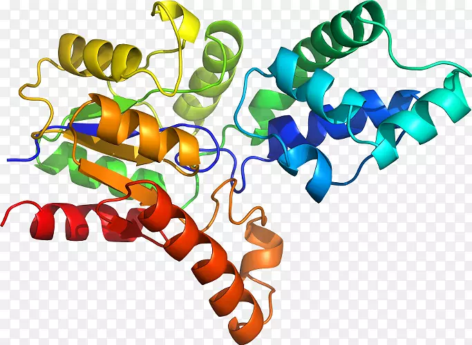 有机体珠宝生物分子剪贴画珠宝首饰