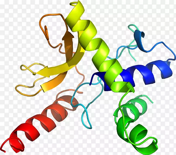 生物线动物剪贴画线