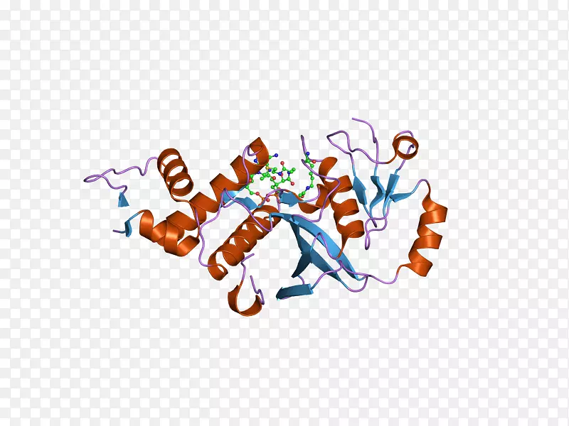 kat5组蛋白乙酰转移酶蛋白