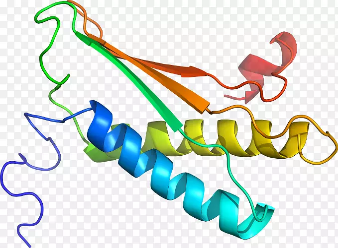 线点生物剪贴画线