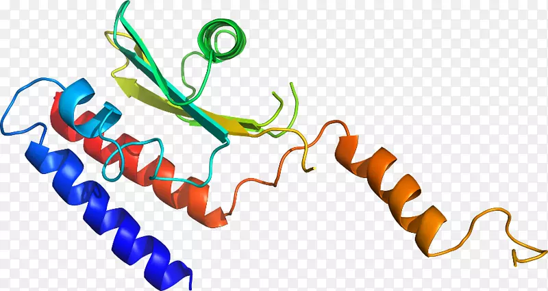 线点生物剪贴画线