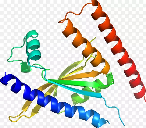 蛋白质结构线有机体剪贴画线