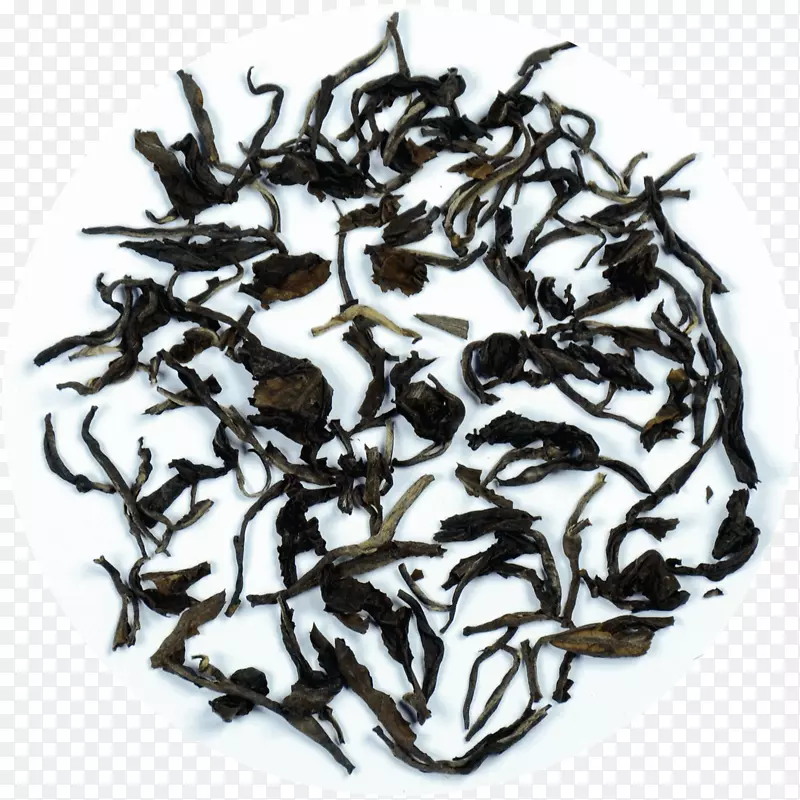 尼尔吉里茶甸红金丝猴茶树-茶