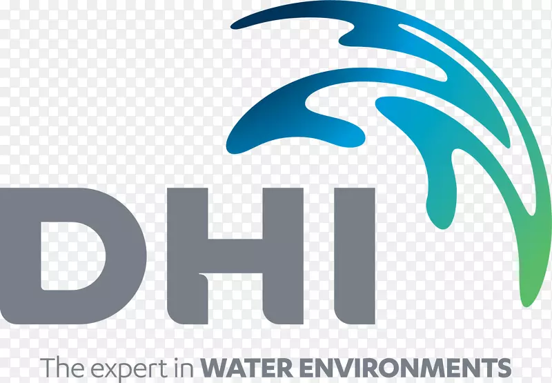 DHI集团公司合伙私营公司组织