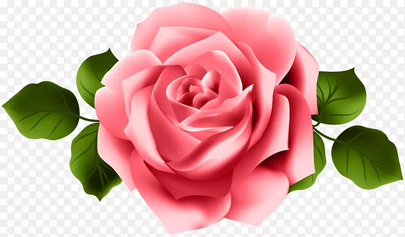 花园玫瑰粉红剪贴画-公古