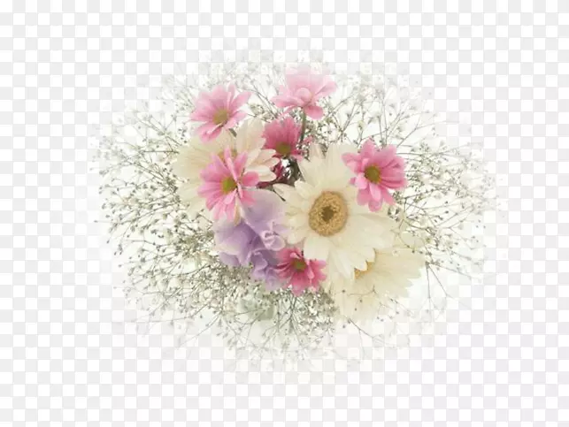 花束桌面壁纸普通雏菊