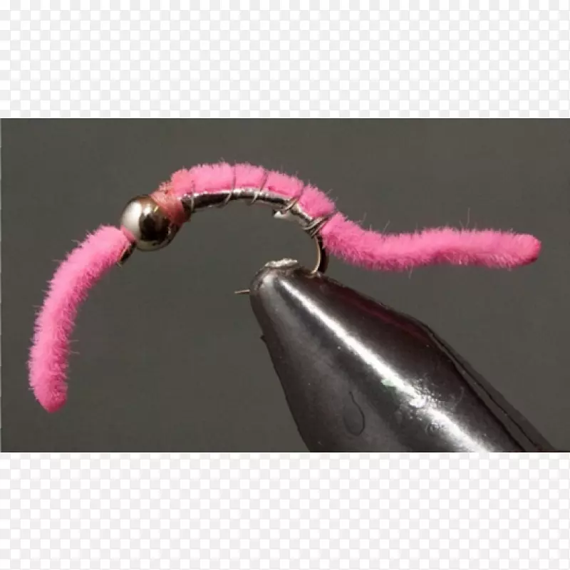 粉红m-鲈鱼蠕虫