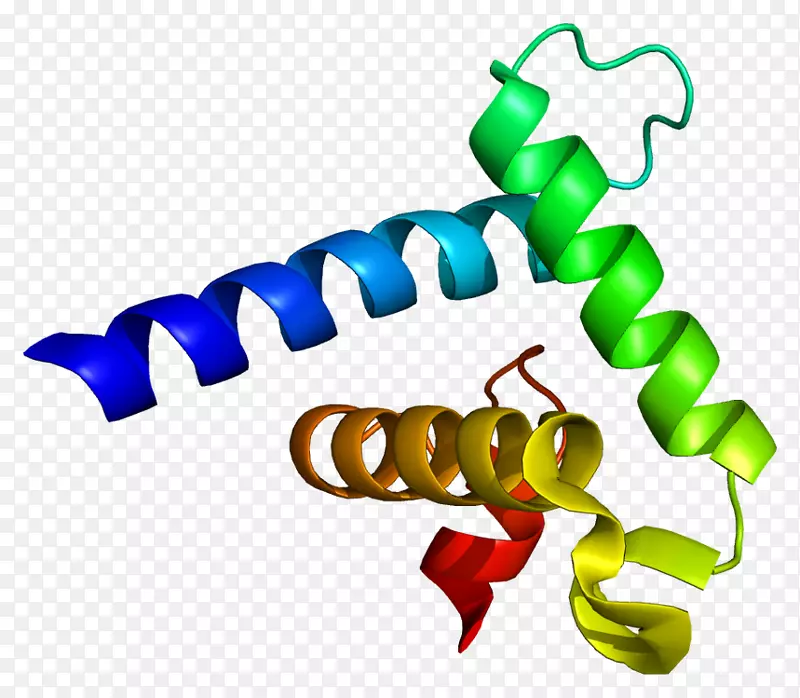 CREB-结合蛋白p 300-cbp辅激活子家族EP300