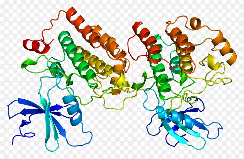 酪蛋白激酶1k-酪蛋白csnk1d