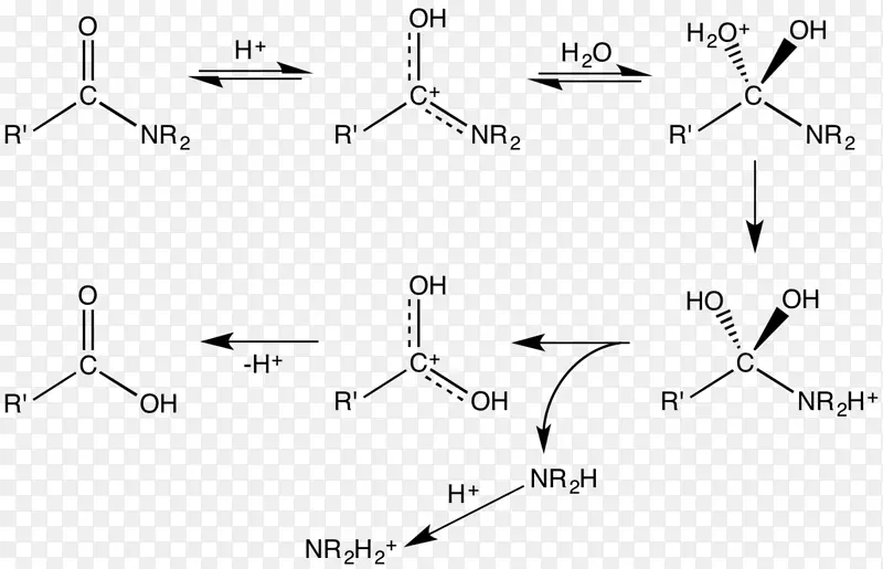 施密特反应羧酸酰胺水解质子化-水