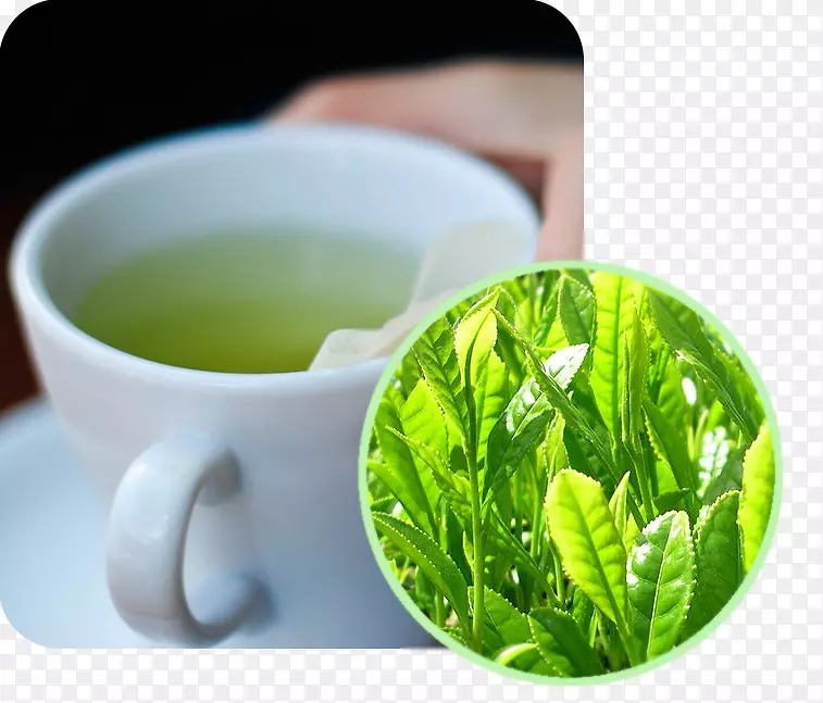 绿茶、抹茶、马萨拉茶、白茶-茶
