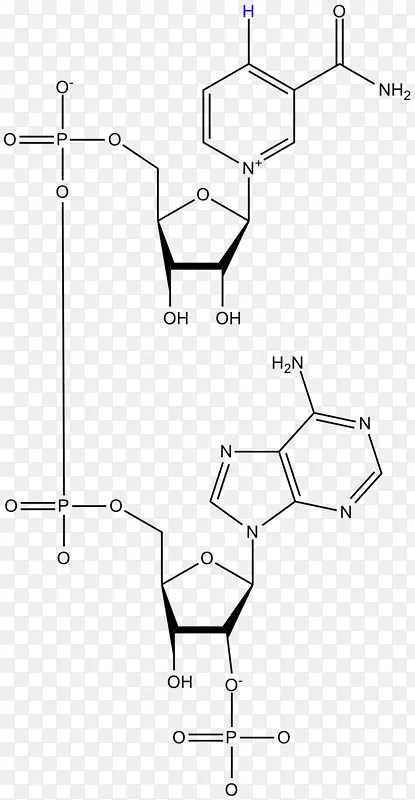烟酰胺腺嘌呤二核苷酸磷酸Flavin单核苷酸Flavin还原酶