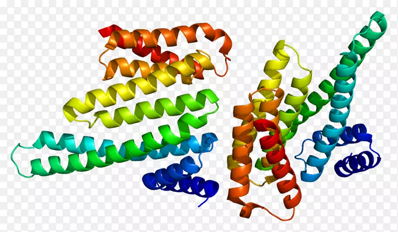 14-3-3蛋白ywhab核糖体S6激酶核小体