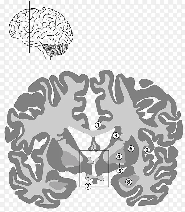 人脑行为树-大脑