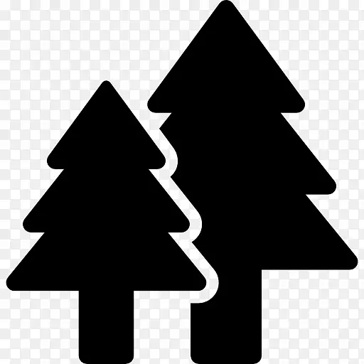 圣诞树林业松树-圣诞树