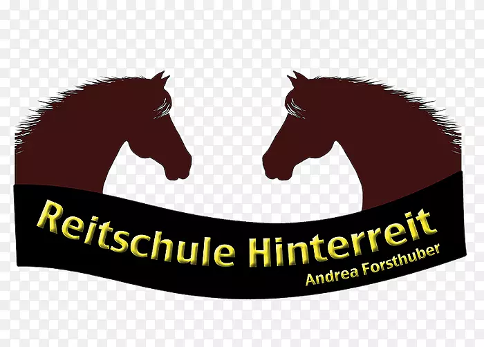Reitschule Hinterreit，Andrea Forsstuber Mustang vetterbach马术-野马