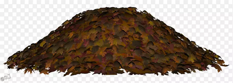 树层电子邮件水彩画-成堆的树叶