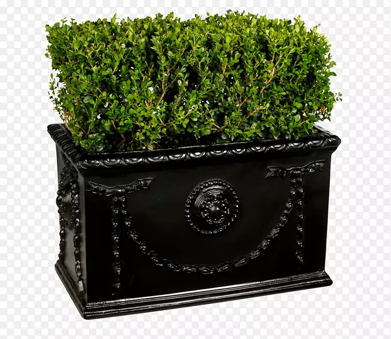 树篱箱，灌木，纽约市植物盒