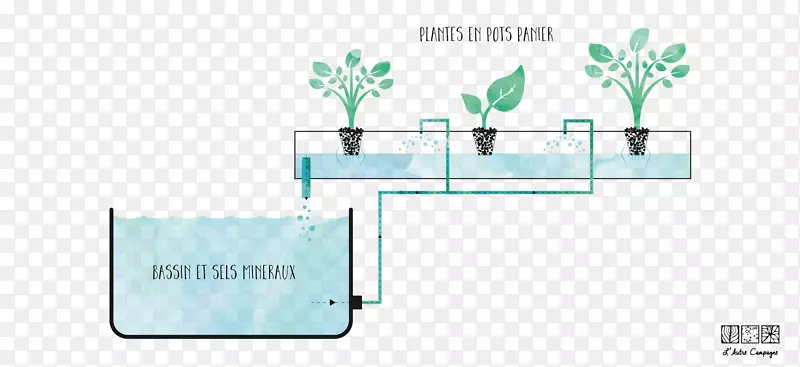水培养殖农场L‘autre campagne技术-植物