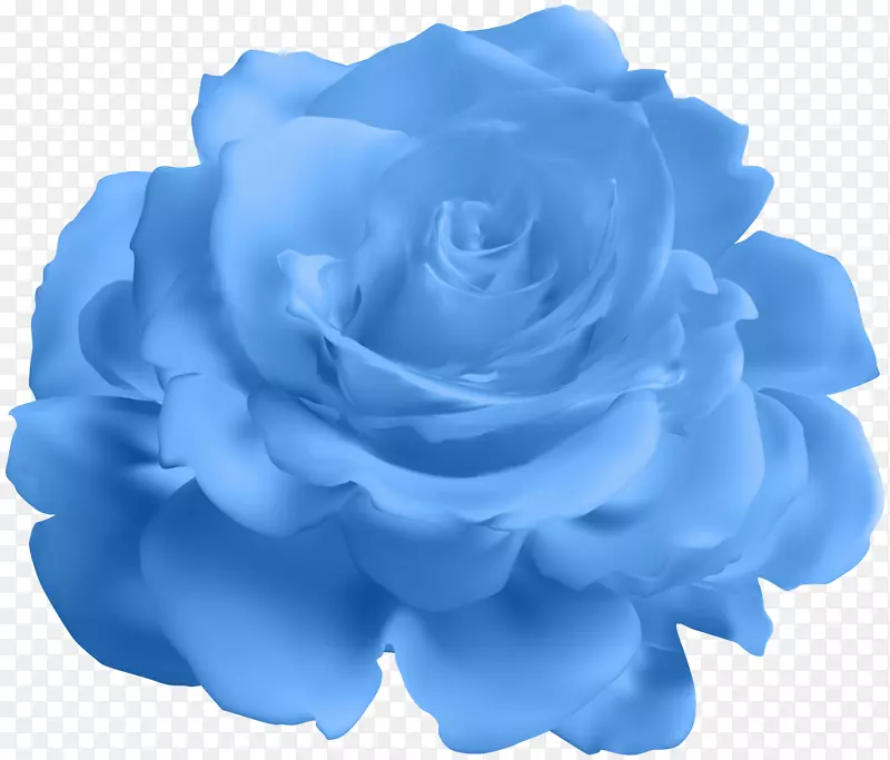蓝玫瑰花园玫瑰卷心菜玫瑰剪贴画-蓝色玫瑰