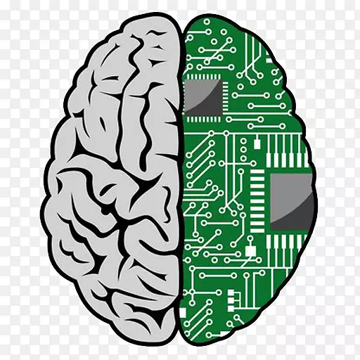 脑-计算机接口-人脑剪贴画-大脑