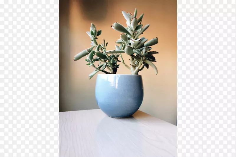 陶瓷花瓶静物摄影花瓶