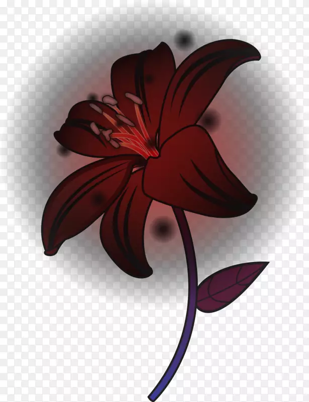 紫红色开花植物-天堂花