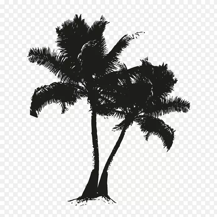 亚洲棕榈枣，棕榈，黑色剪影，白色-橡树叶绣球花