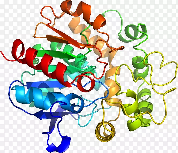 SPINT 1化学反应蛋白酶化学