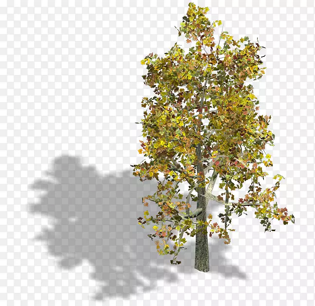 视频游戏中的树枝等距图形与像素艺术精灵树精灵