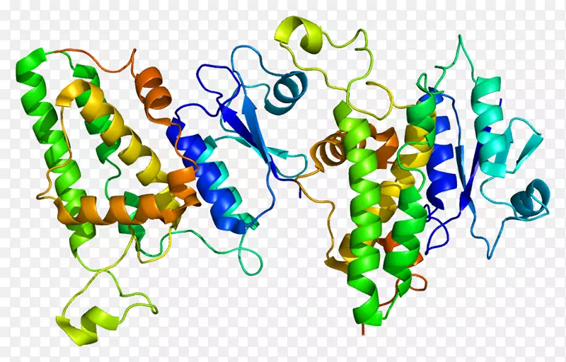 陈词滥调1蛋白氯离子通道内连接蛋白基因